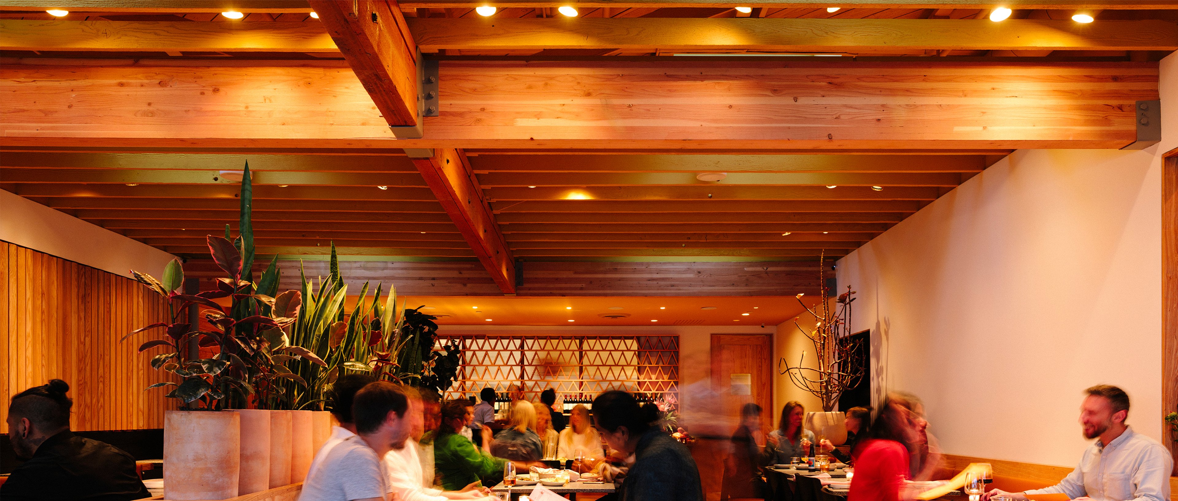 Tamarindo Restaurant 